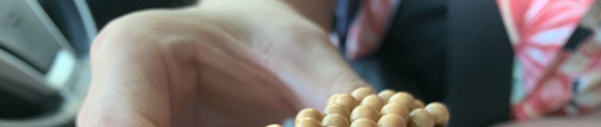 仙台牛たんの裏事情を暴露！知られざる真実とは？
